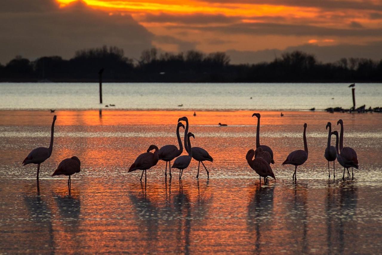 Ijsvogel Apartment, Duplex Family Home 4-Bed Located On The Largest Saltwater Lake เบรานิซเซอ ภายนอก รูปภาพ